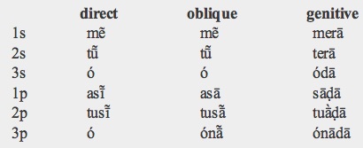 Results of Punjabi language Noun stemmer