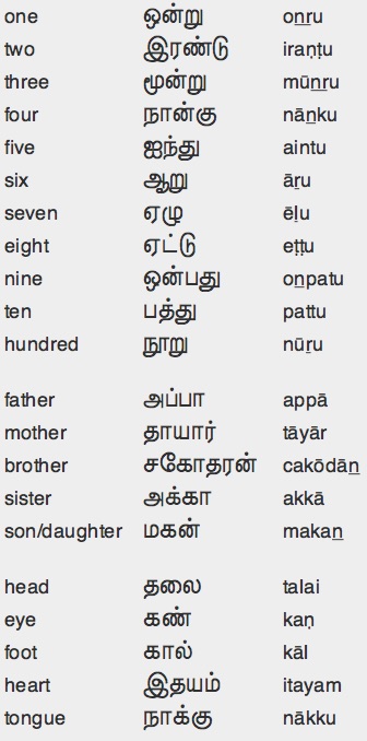 Tamil Verb Conjugation Chart